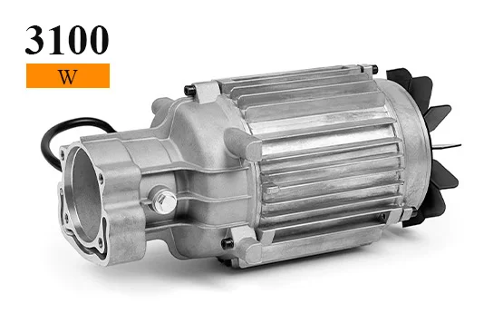 Profesjonalny silnik